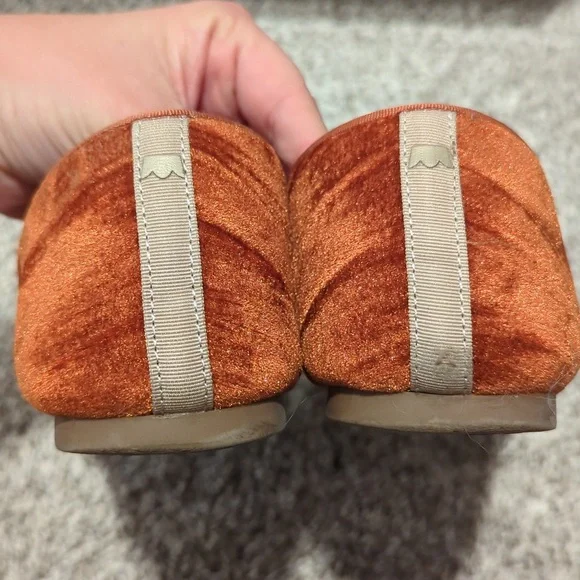 Birdies - The Starling - Picture 5 of 5